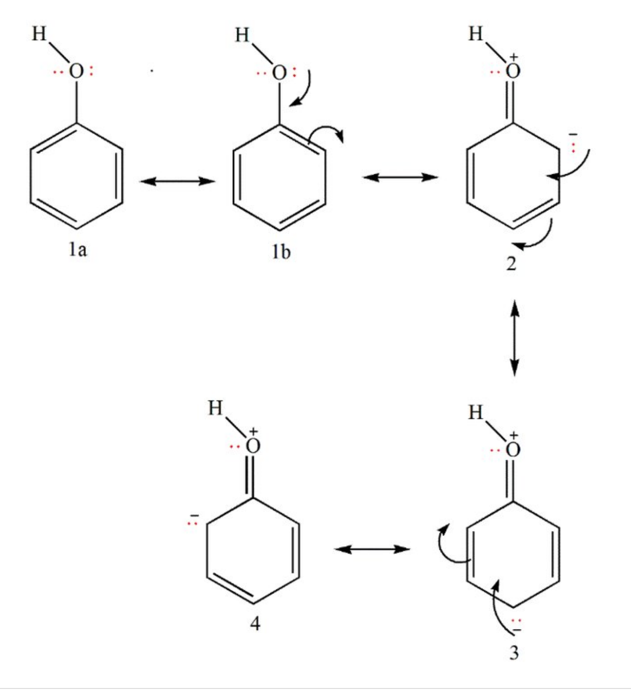 resonances structures for phenol